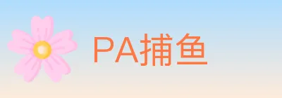 PA捕鱼 logo